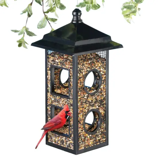 Collections Etc Black Metal Fly Through Hanging Bird Feeder {2}