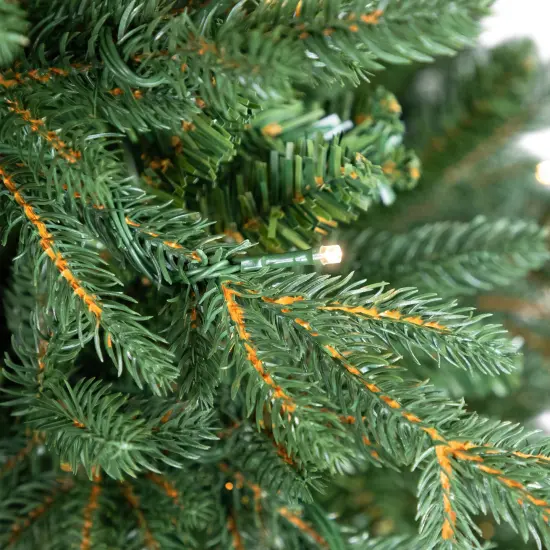 Northlight Real Touch&trade; Pre-Lit Cumberland Pine Artificial Christmas Tree - 9' Warm White LED Green {6}