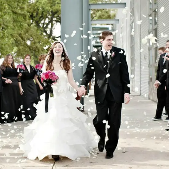 2200 PCS Silk Flower Rose Petals for Wedding Decorations (Ivory) {4}