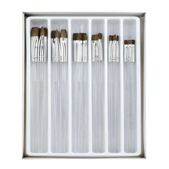 RCVP-CL504 | Clear Choice 24pc Natural Hair Flat Brush Set {2}