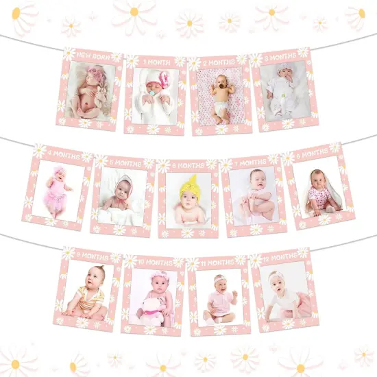 Daisy 1st Birthday Photo Banner for Girls, Pink Groovy 1-12 Monthly Photo Banner, Daisy Boho Hippie Baby Girl First Bday Party Supplies {1}