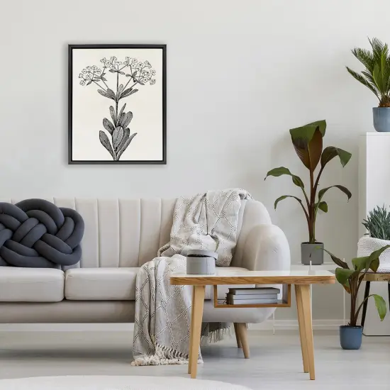 Stupell Industries Classic Cuts Botanicals Floating Frame, design by Karen Smith {2}