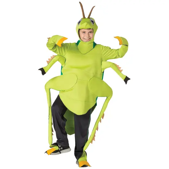 Playful Grasshopper Costume for Kids with Antennae Headpiece {1}