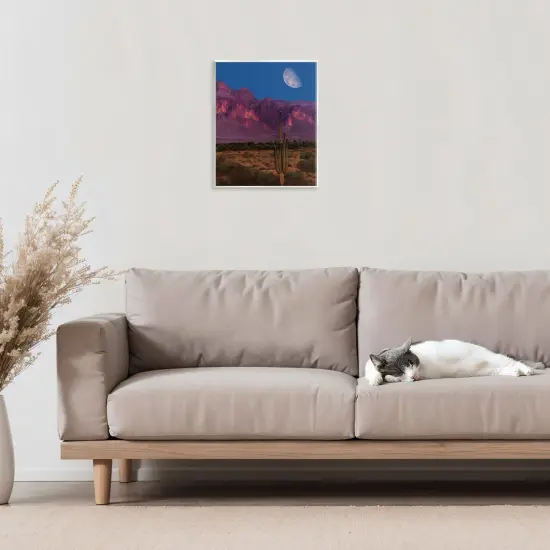 Stupell Industries Cactus In The Mountains Wall Plaque, design by Renel Peters {2}