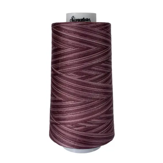 M88 Dusty Purples Signature Cotton Variegated Thread {1}