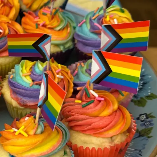 100 Pcs Progress Pride Rainbow Flag Rainbow Toothpick Flags,Small Mini LGBT Cupcake Toppers Stick flags - Rainbow Mardi Gras Events Party Cocktail Fruit Decoration {3}