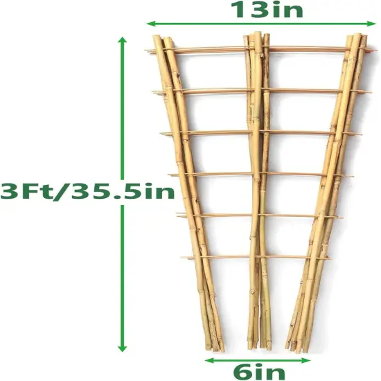 10 Pack 3 Feet Natural Bamboo Trellis {2}