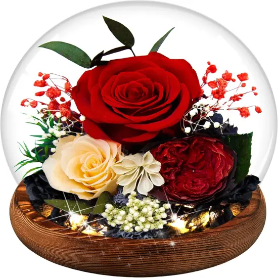 Women Preserved Red Real Rose Flowers in Glass Dome {1}