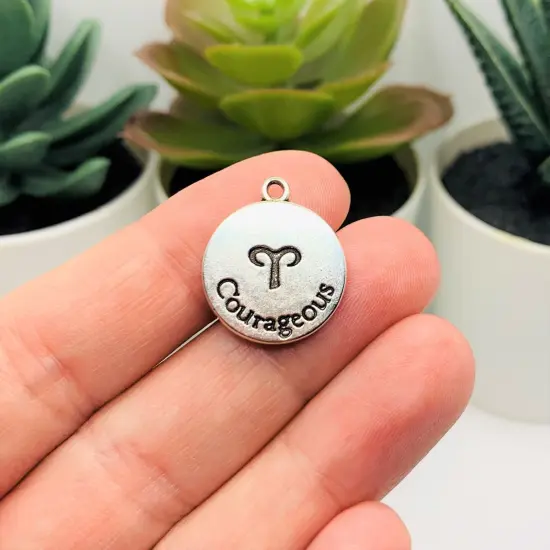 Silver Aries Zodiac/Astrology Coin Charms, 17x20mm {3}
