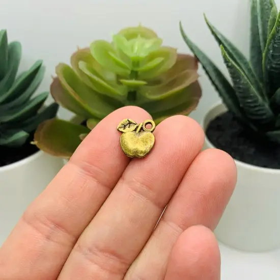 Bronze Apple Teacher Charms, 10x10mm {3}