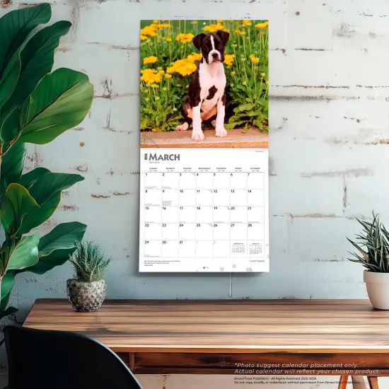 I Love Puppies | 2026 12 x 24 Inch (Hanging) Monthly Square Wall Calendar | Plastic-Free {5}