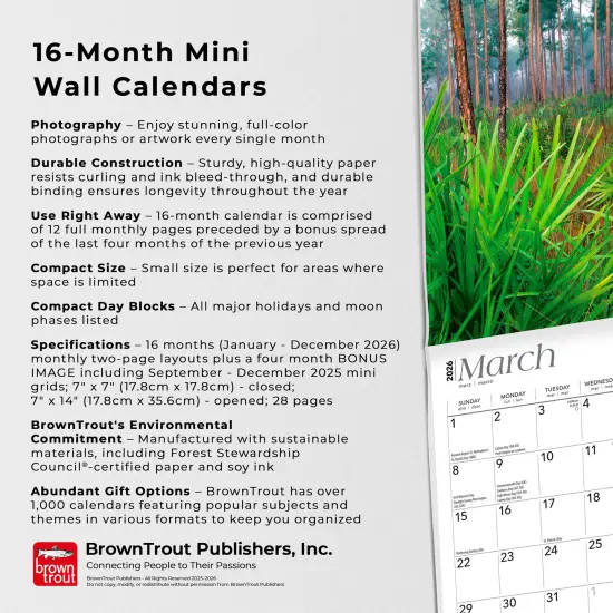 National Parks | 2026 7 x 14 Inch (Hanging) Monthly Mini Wall Calendar {6}