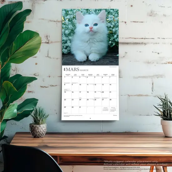 Chatons | 2026 12 x 24 Inch (Hanging) Monthly Square Wall Calendar | French Language {5}