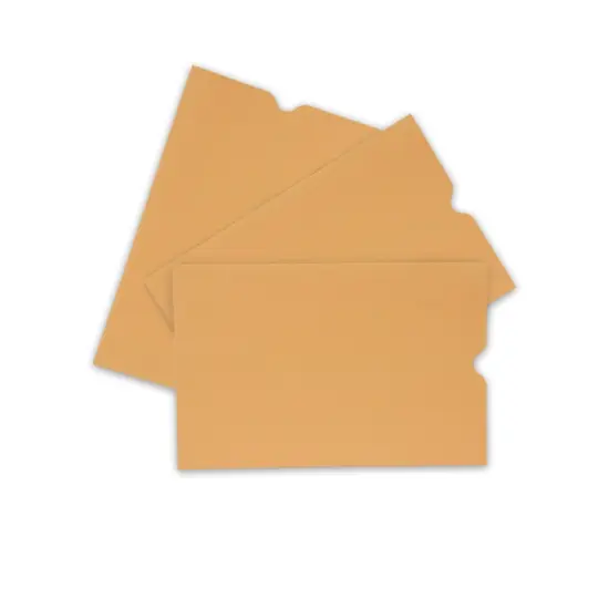 School Smart Report Card Envelope, 28 lb, 6 x 9 Inches, Kraft, Pack of 500 {7}