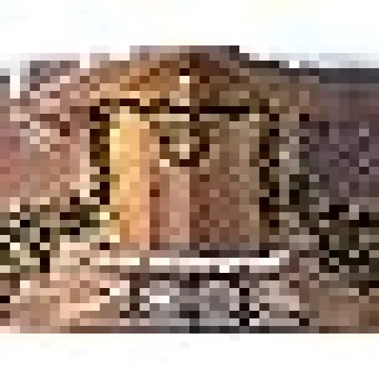 Christmas String Lights Green Wire {2}