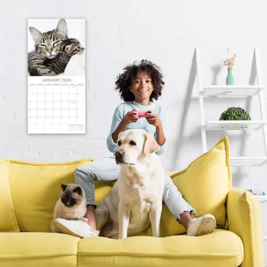 The Gifted Stationary 2026 Square Wall Calendar, Cats & Kittens, 16-Month Animals Theme Hanging Calendar with 180 Reminder Stickers, Month Planner for Home, or Creative Spaces, 12x12 In Multicolor {2}
