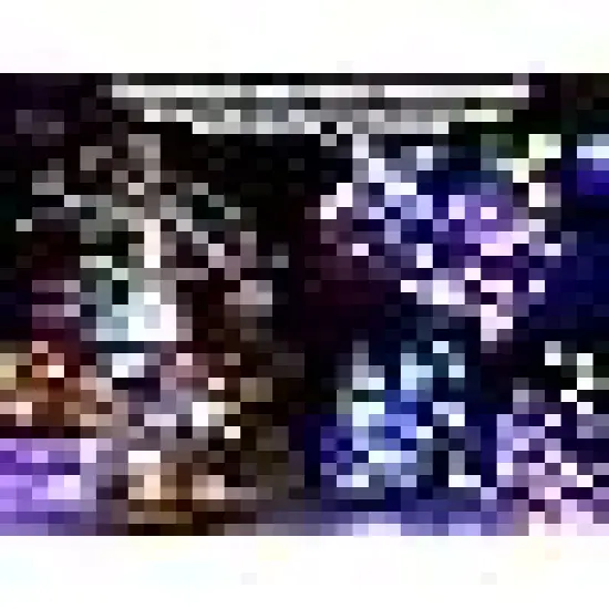 Solar Christmas Fairy Lights Outside {2}