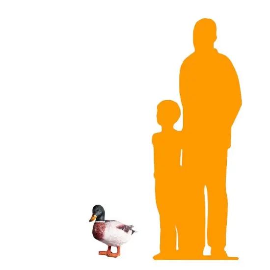 Male Mallard Duck Statue {2}