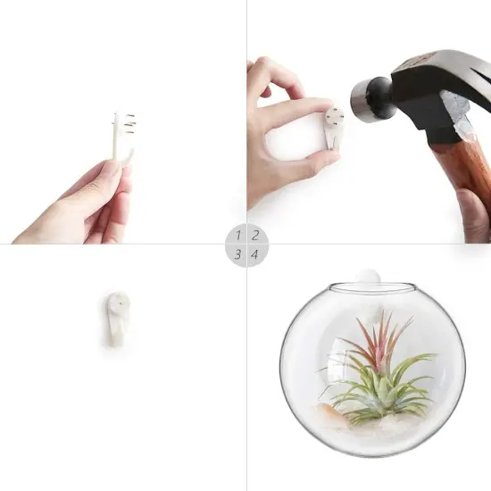 Wall Hanging Glass Terrarium Oblate Planter Vase for Hydroponics Plants {6}