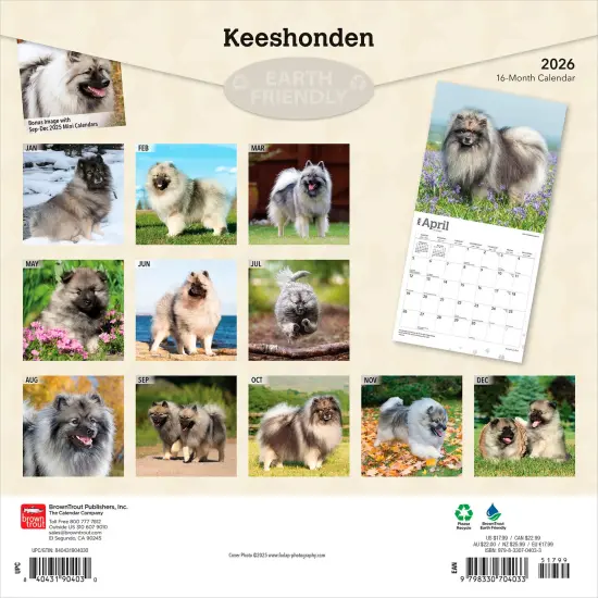 Keeshonden | 2026 12 x 24 Inch (Hanging) Monthly Square Wall Calendar | Plastic-Free {2}