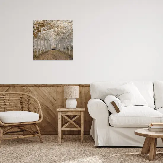 Stupell Industries White Gold Birch Grove Canvas, design by Assaf Frank {8}
