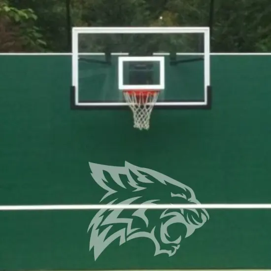 Wildcats Mascot Athletic Stencil | High School Senior Parking Spot Stencil | Reusable Stencil | Stencil Ease | {4}