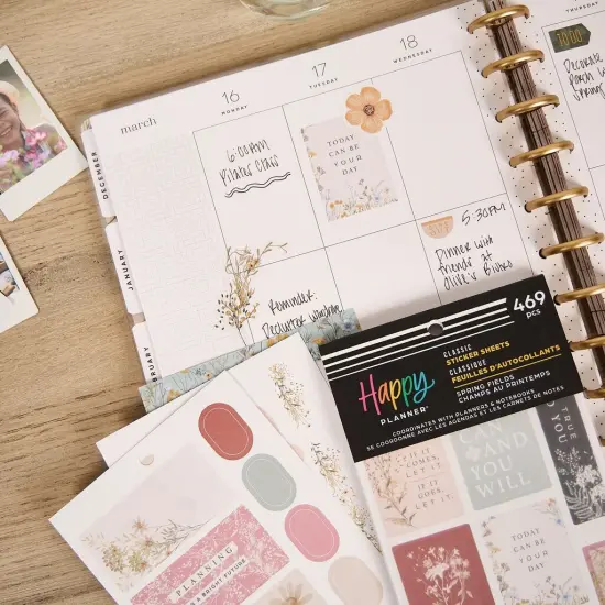 Happy Planner Sticker Value Pack 30/Sheets-Spring Fields {6}