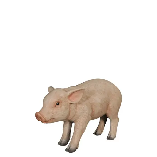 New Born Pig Life Size Statue {1}