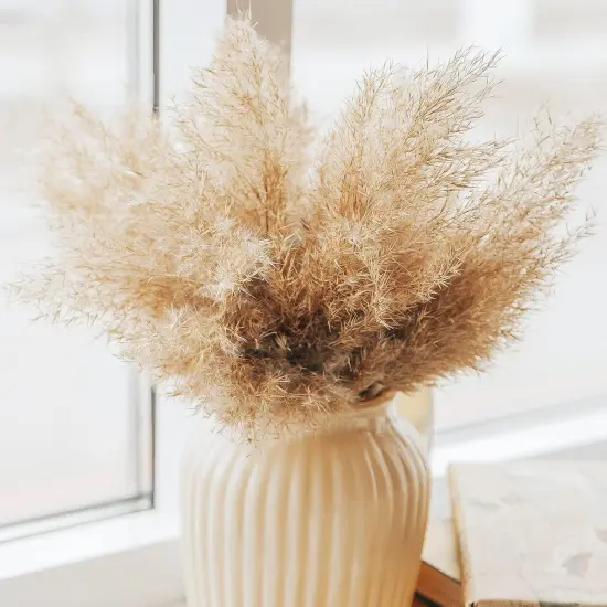 40 PCS Nature Pampas Grass Bouquet {5}