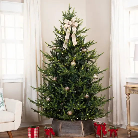 Northlight Real Touch&trade; Elite Pre-Lit Glenmora Pine IPT Artificial Christmas Tree - 6' Dual Color LED Green {5}