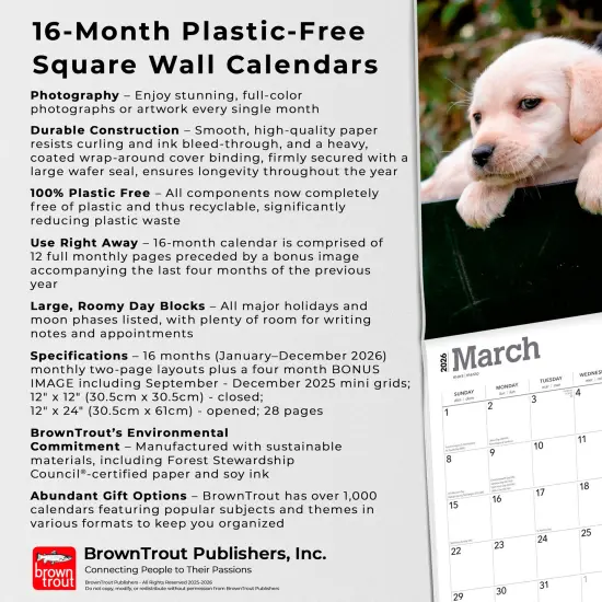 Labrador Retriever Puppies | 2026 12 x 24 Inch (Hanging) Monthly Square Wall Calendar | Plastic-Free {6}