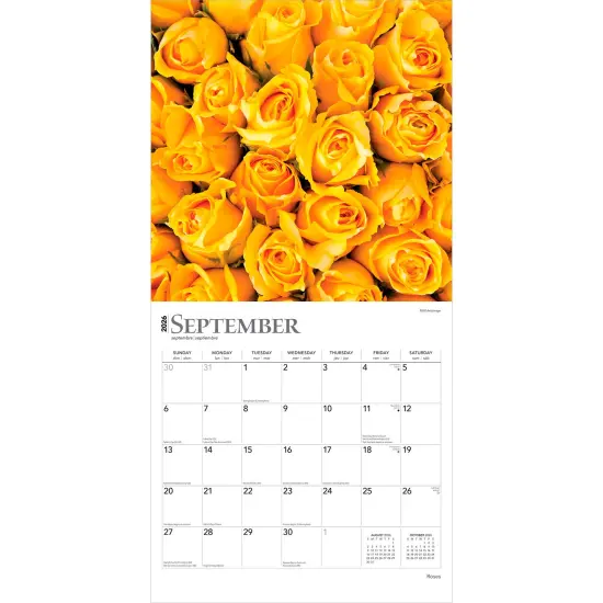 Roses | 2026 12 x 24 Inch (Hanging) Monthly Square Wall Calendar | Plastic-Free {4}