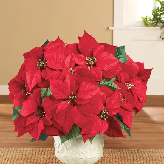 Collections Etc Bright Red Decorative Velvet Poinsettia Bushes - Set of 3 {4}