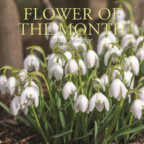 The Gifted Stationary 2026 Square Wall Calendar, Flower of the Month, 16-Month Floral Theme Hanging Calendar with 180 Reminder Stickers, Month Planner for Home, or Creative Spaces, 12x12 In Multicolor {1}