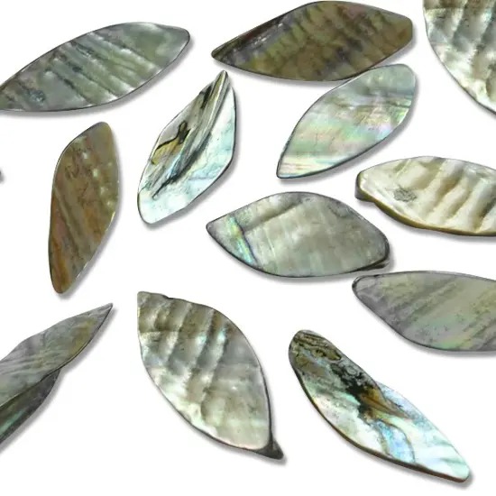6 Packs of Leaf Tinted Shell Beads - Gray - 2 x 8" Strand {1}