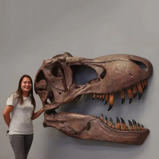 T-Rex Skull Wall Decor Life Size Statue {3}