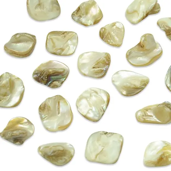 6 Packs of Chunky Tinted Shell Beads - Natural - 2 x 8" Strand {1}