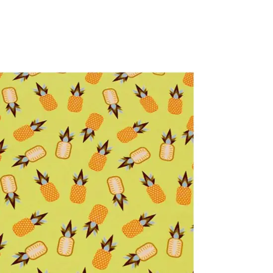 Kawaii Pineapple Party Printed Spandex {4}