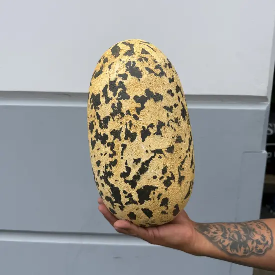 Large Theropod Dinosaur Egg Life Size Statue {4}