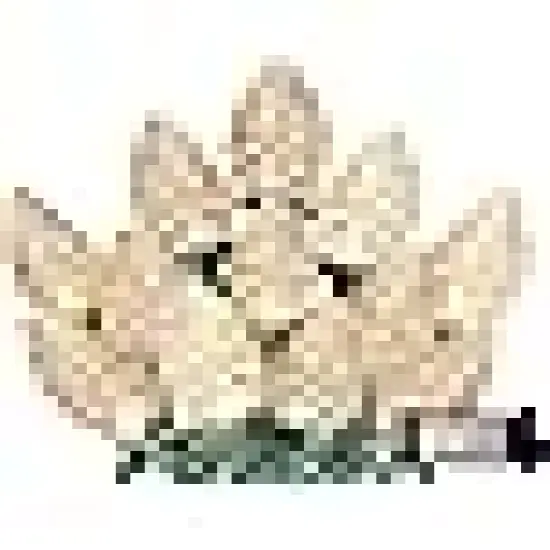 Christmas String Lights Outdoor with 8 Modes {5}