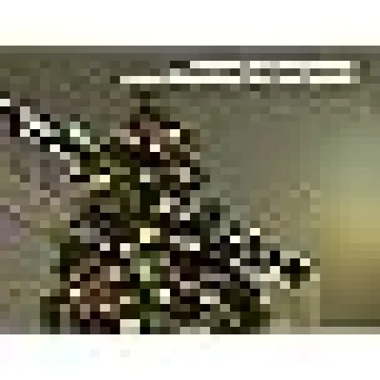 Christmas String Lights with 8 Modes, Timer, Waterproof Design for Indoor {3}