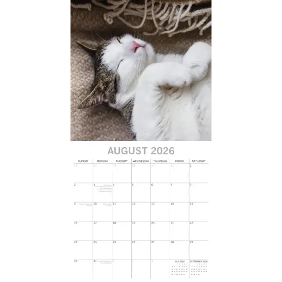 The Gifted Stationary 2026 Square Wall Calendar, Cat Naps, 16-Month Animals Theme Hanging Calendar with 180 Reminder Stickers, Month Planner for Home, or Creative Spaces, 12x12 In Multicolor {3}
