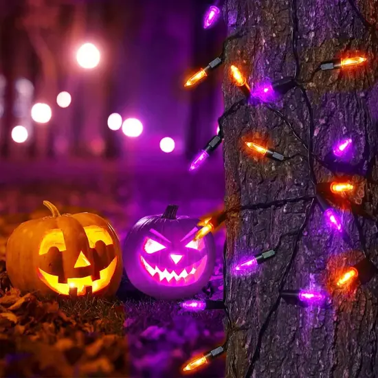 2 Set - Mini String Light for Halloween (Orange&Purple) {2}