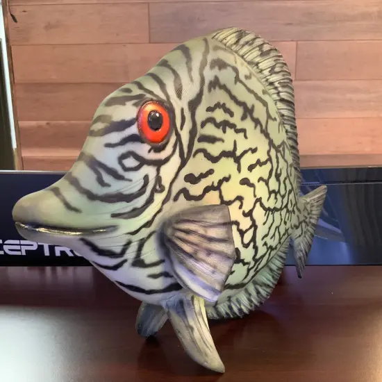 Discus Fish Statue {4}