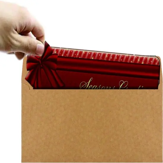 120 Pack #10 Brown Kraft Security Envelopes 4-1/8 x 9-1/2 inches Self Seal {3}