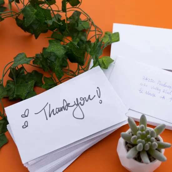 BAZIC #6 3/4 Gummed Closure Security Envelope (80/Pack) {6}