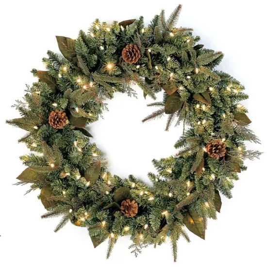 Northlight Pre-Lit Green River Spruce Artificial Christmas Wreath - 24" - Clear Lights {1}