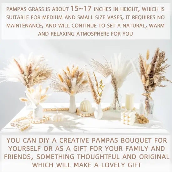 120PCS Natural Dried Pampas Grass Boho Home Decor Bouquet Phragmites Dried Flowers Bouquet for Wedding Floral Arrangements Home Decorations (120PCS) {4}