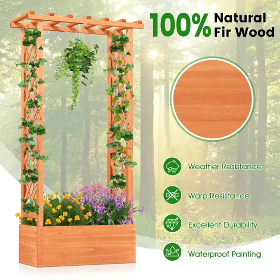 Orange Fir Wood Raised Garden Bed with Trellis and Hanging Roof 31x14x60 {5}