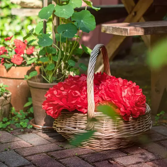 Red Tissue Paper Pom Poms - Assorted Sizes - Red Party Decorations for Birthdays, Weddings, Baby Showers and Special Occasions {2}